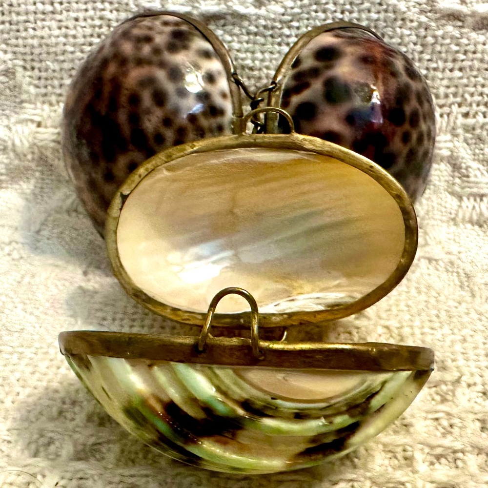 2 Vtg 70’s Natural Shell Trinket Boxes Rosary Holder Turbo Shell & Tiger Cowrie
